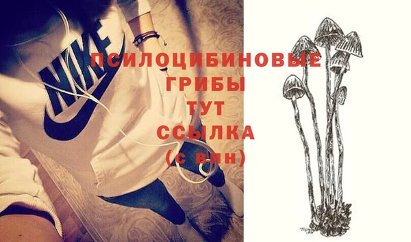 прущий лед Волосово