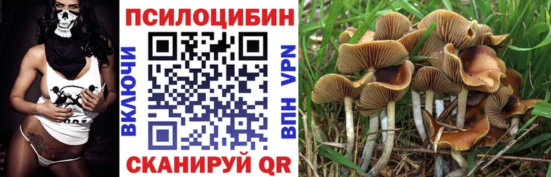 Псилоцибиновые грибы Cubensis  hydra ССЫЛКА  Вилюйск 